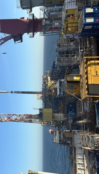 Southern North Sea multi-well severance campaign