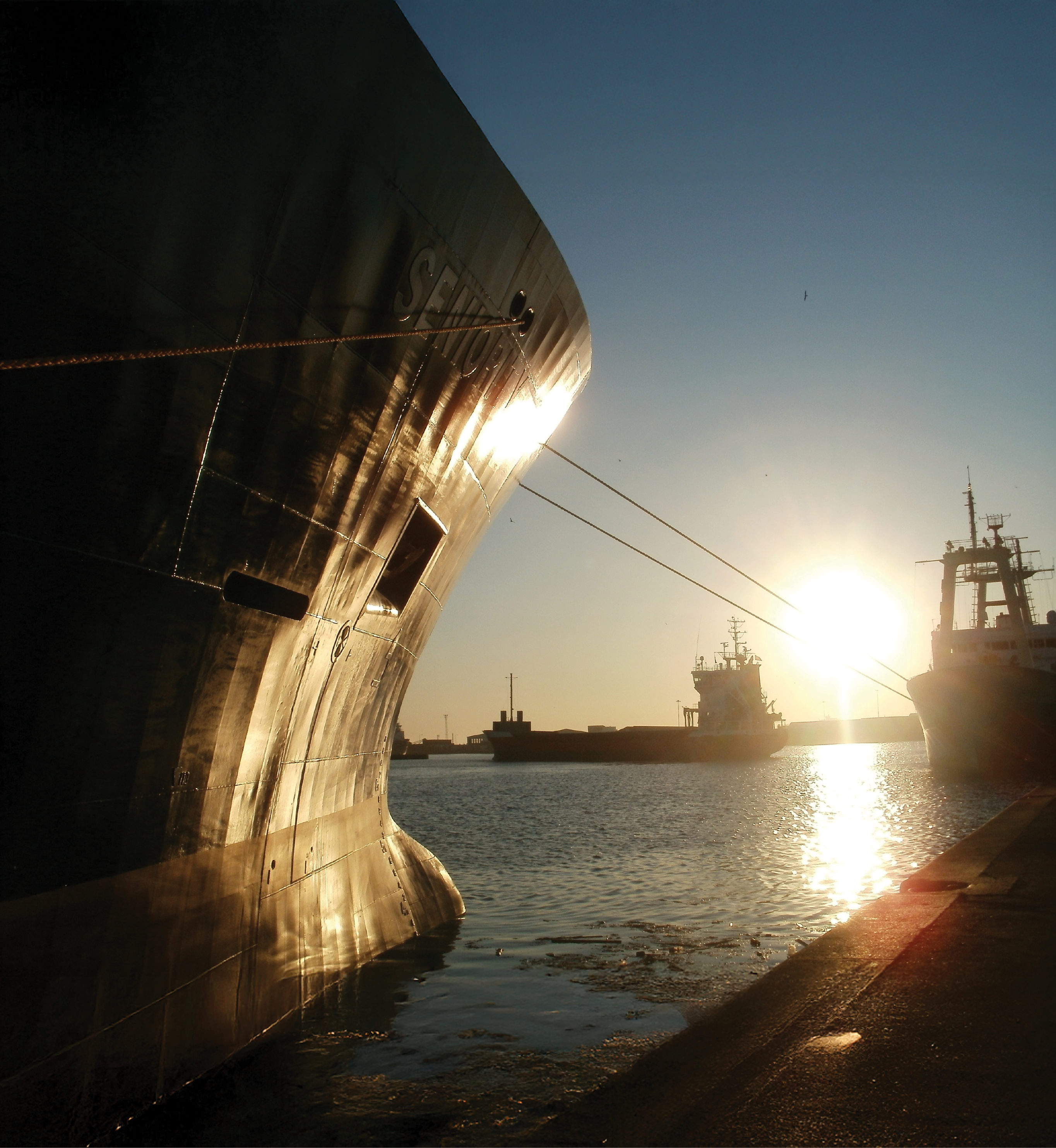 16 double-hulled tankers, 3,000–35,000mt, incl. dual-fuel and new Sealife Class. icon