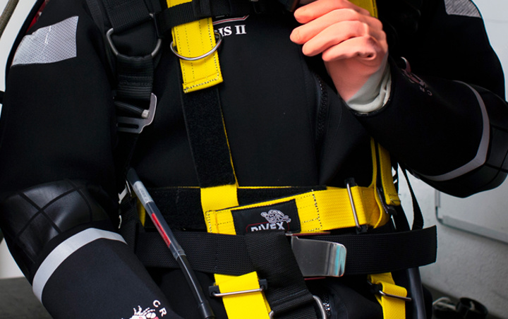 Harnesses icon